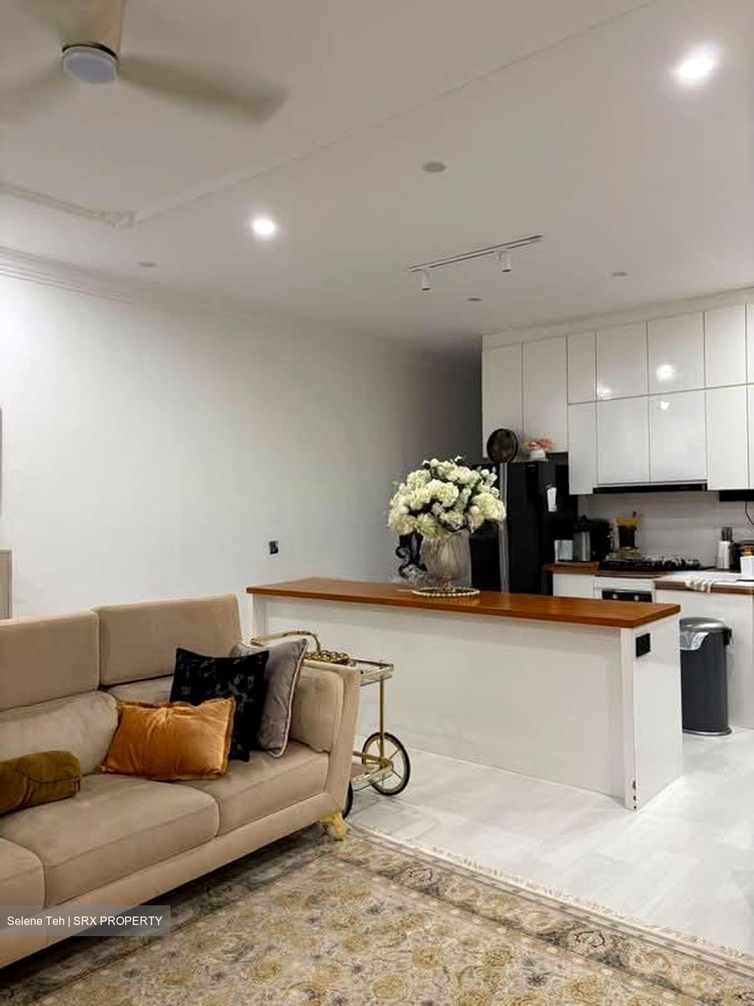Toh Estate (D17), Terrace #583875671